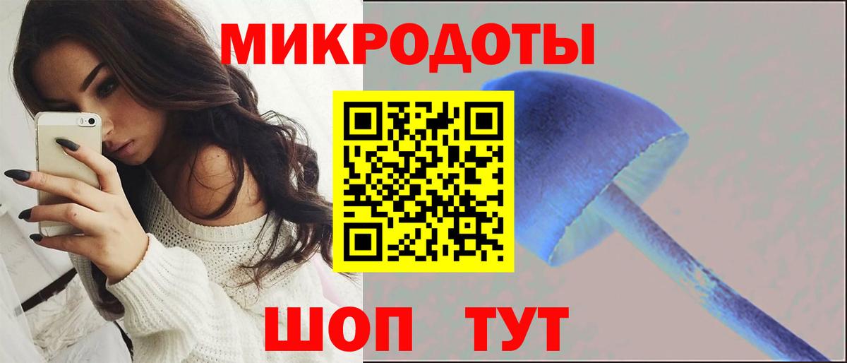 Псилоцибиновые грибы мицелий  как найти закладки  Вход с VPN  Горно-Алтайск  Галлюциногенные грибы прущие грибы 